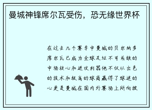 曼城神锋席尔瓦受伤，恐无缘世界杯