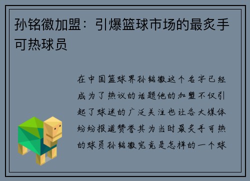 孙铭徽加盟：引爆篮球市场的最炙手可热球员
